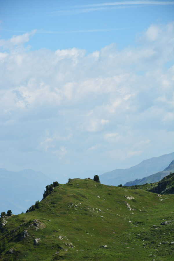 240727 Sils 03